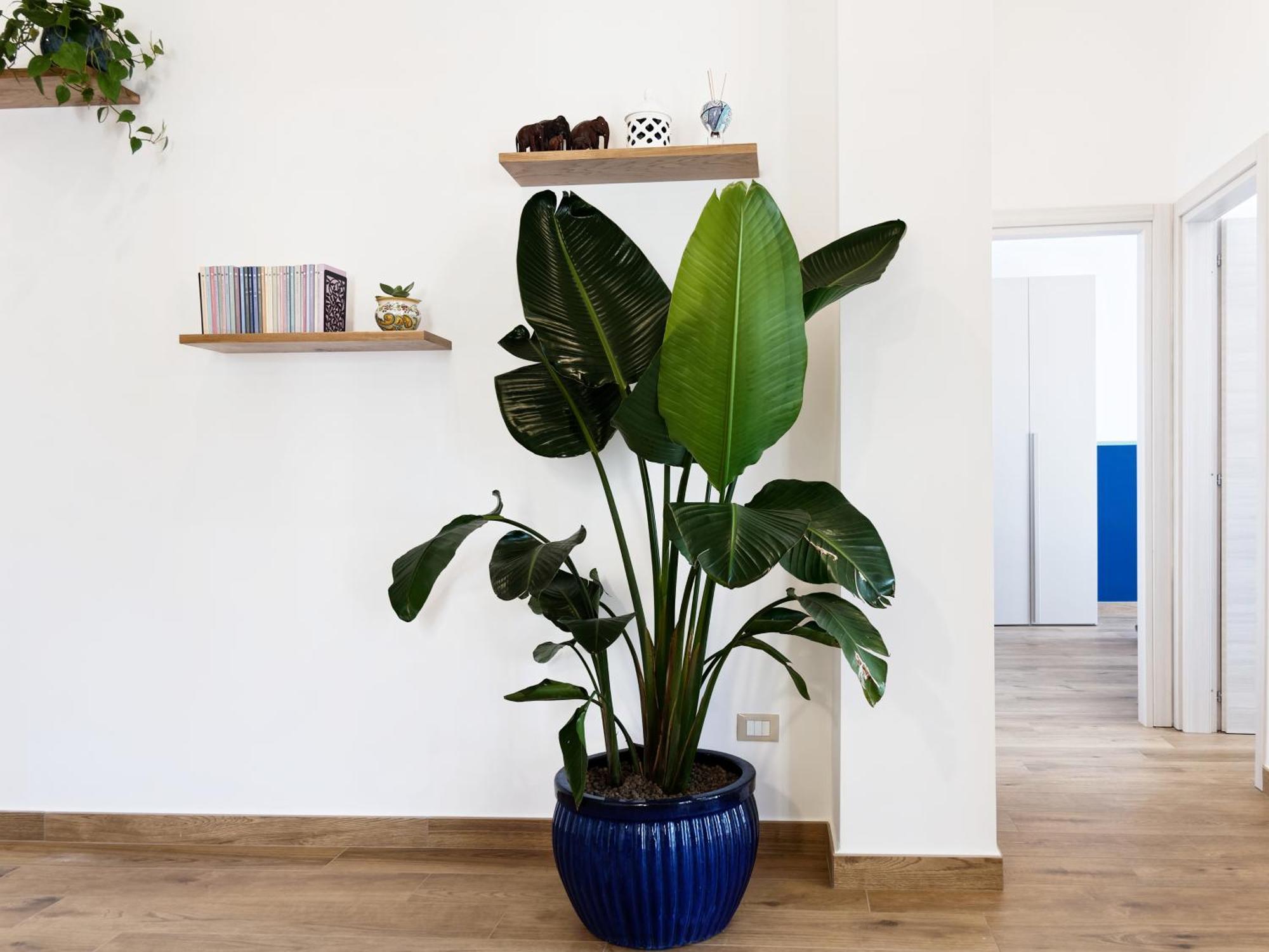 Susanna Boutique Home Vico Equense Exterior photo