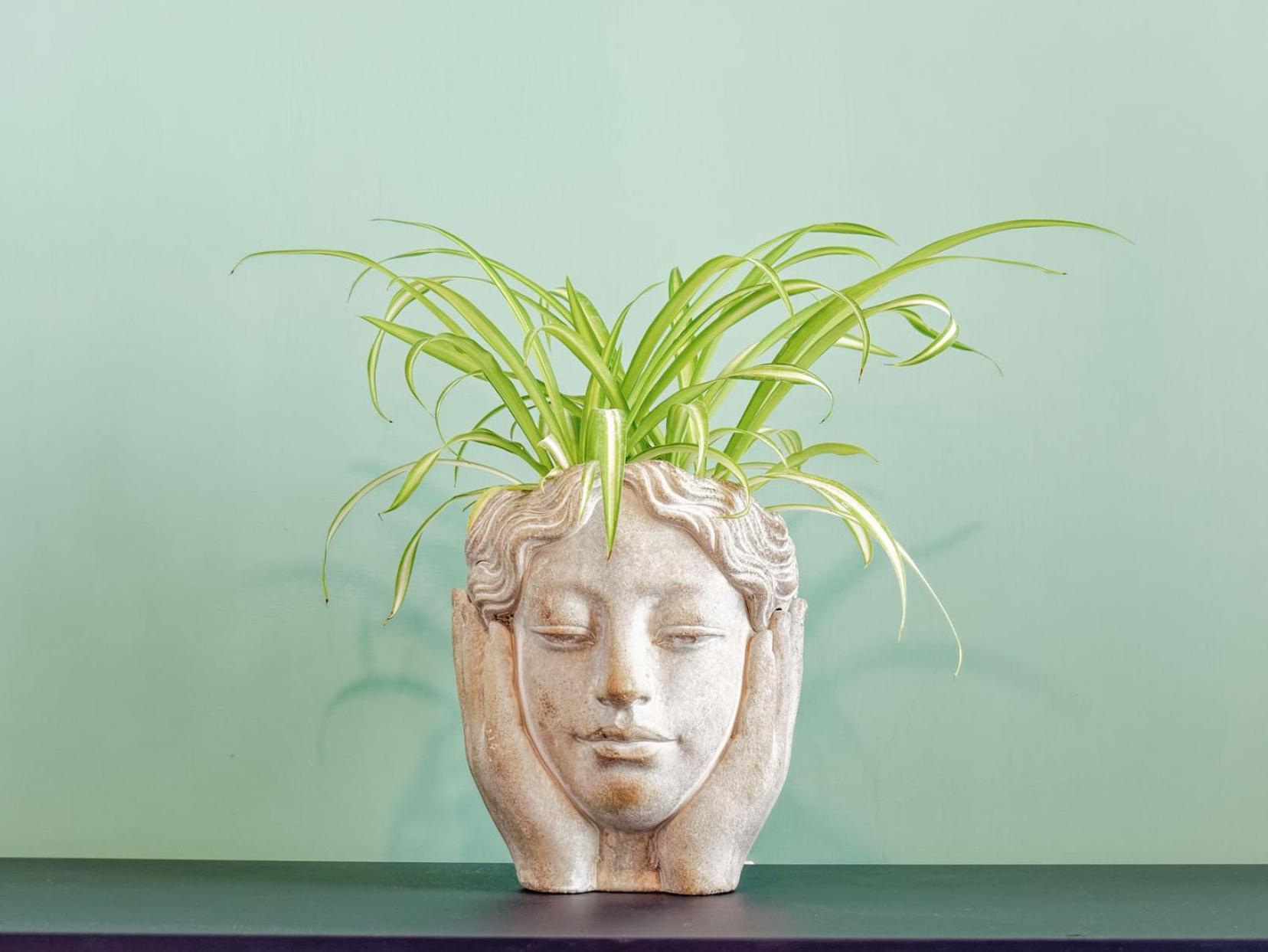 Susanna Boutique Home Vico Equense Exterior photo